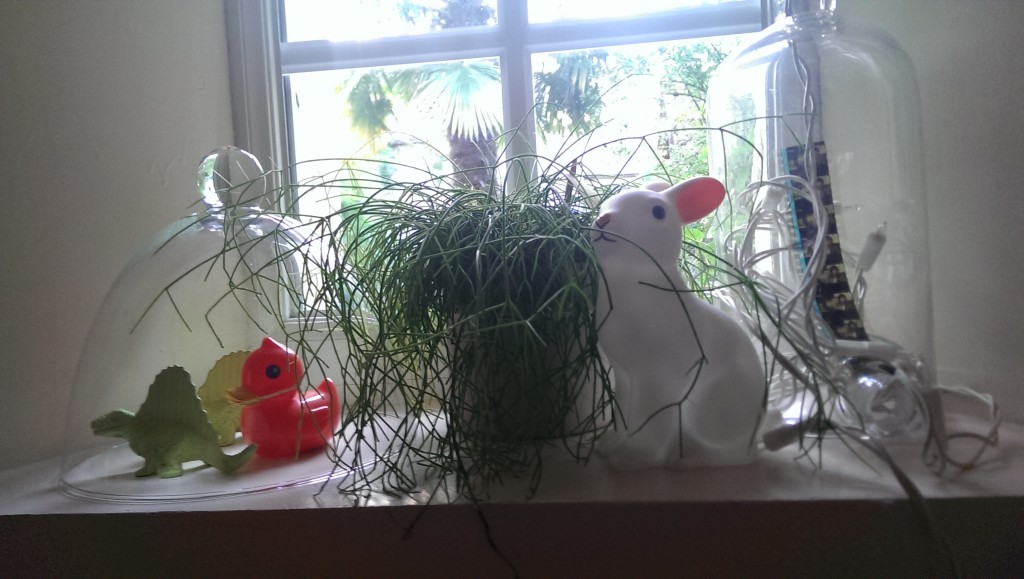 windowsill in the Normandy house