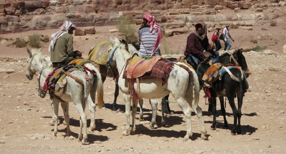 Horses and donkeys wait for customers with their owners: Petra travel advice: 10 tips for visiting Petra