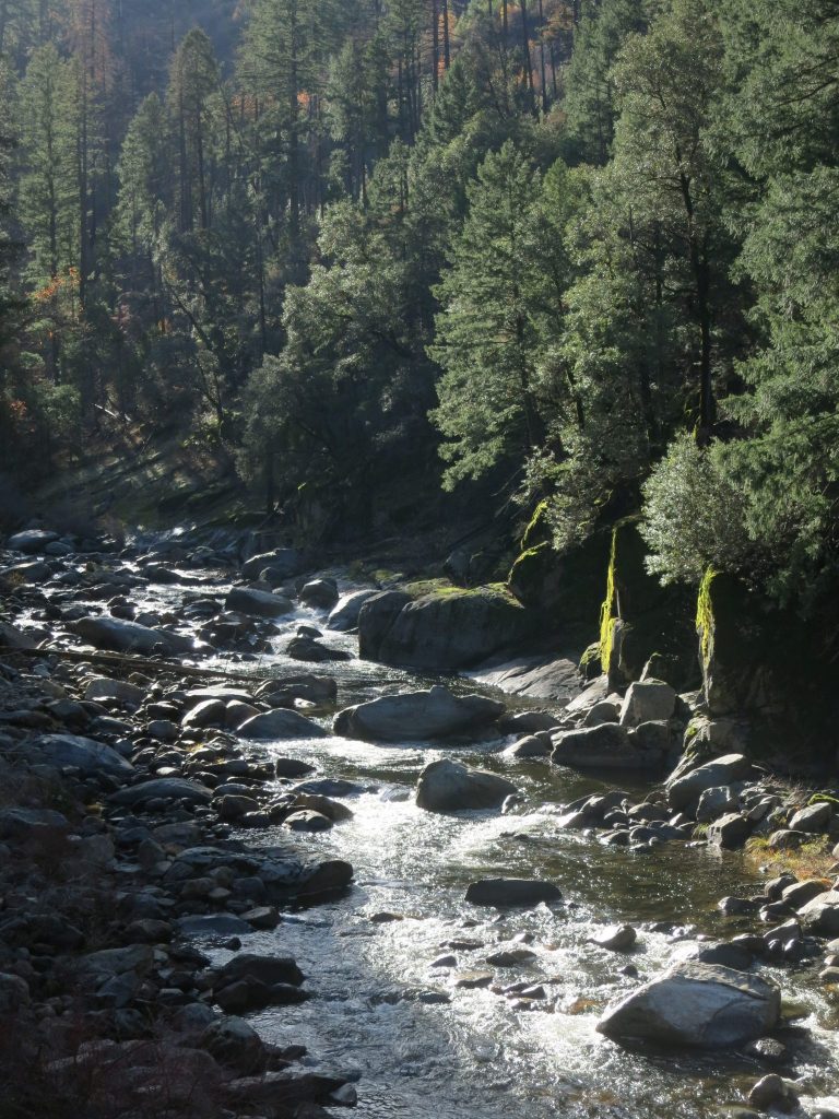 a mountain stream flows over a rocky stream bed in the woods, filled with pine trees. I don't know where we passed this on our weekend trip from San Francisco. Somewhere between Sacramento and Placerville, I think.