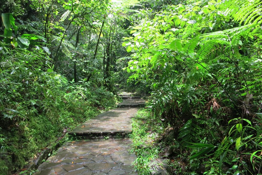 a piece of the path to the waterfall