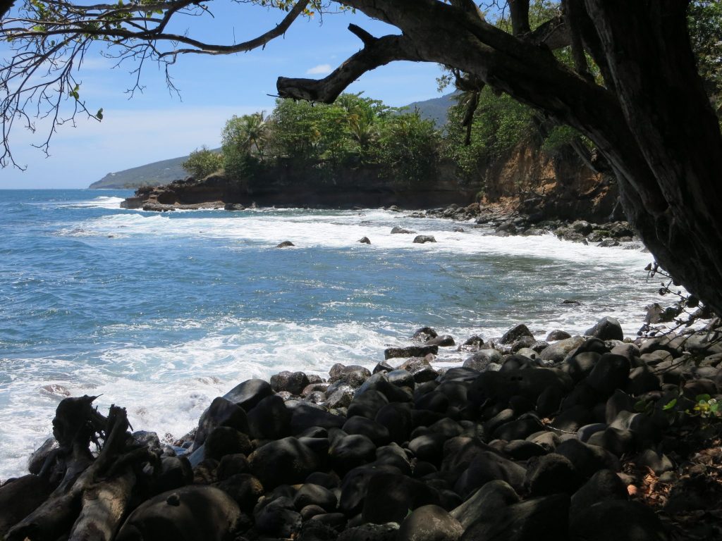 a view of the coast near Trois-Rivieres, Guadeloupe