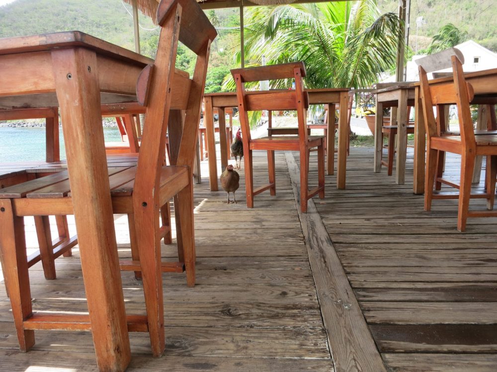 View of the restaurant used in Death in Paradise, empty except for some chickens.