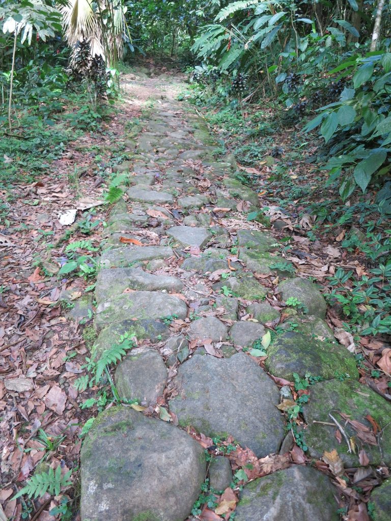 a stone path built by slaves on La Griviliere coffee plantation in Guadeloupe