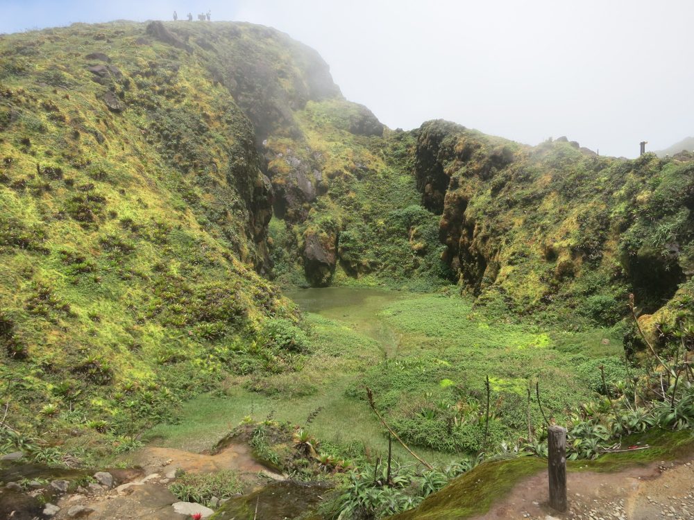 a view down into the green side of the crater of La Soufriere volcano. It's not deep and looks flat-bottomed. It's covered with very green grass of some kind. 