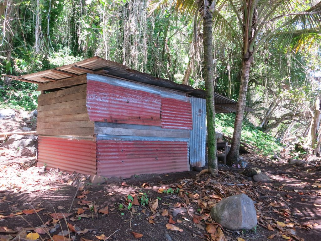 a hut made out of pieces of corrugated iron on Guadeloupe