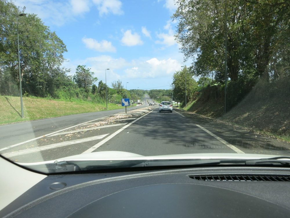 view of a road seen from a car in Guadeloupe