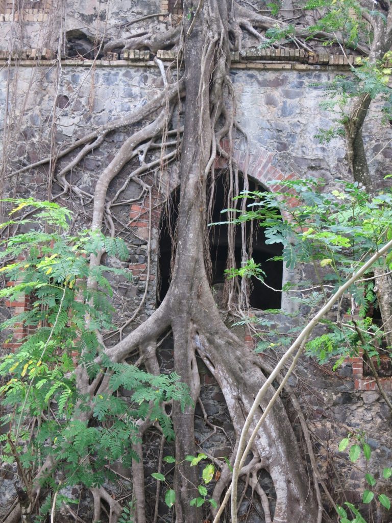 This ruined fort, overgrown with trees, may have been one of the string of forts built by the French, along with Fort St. Louis.