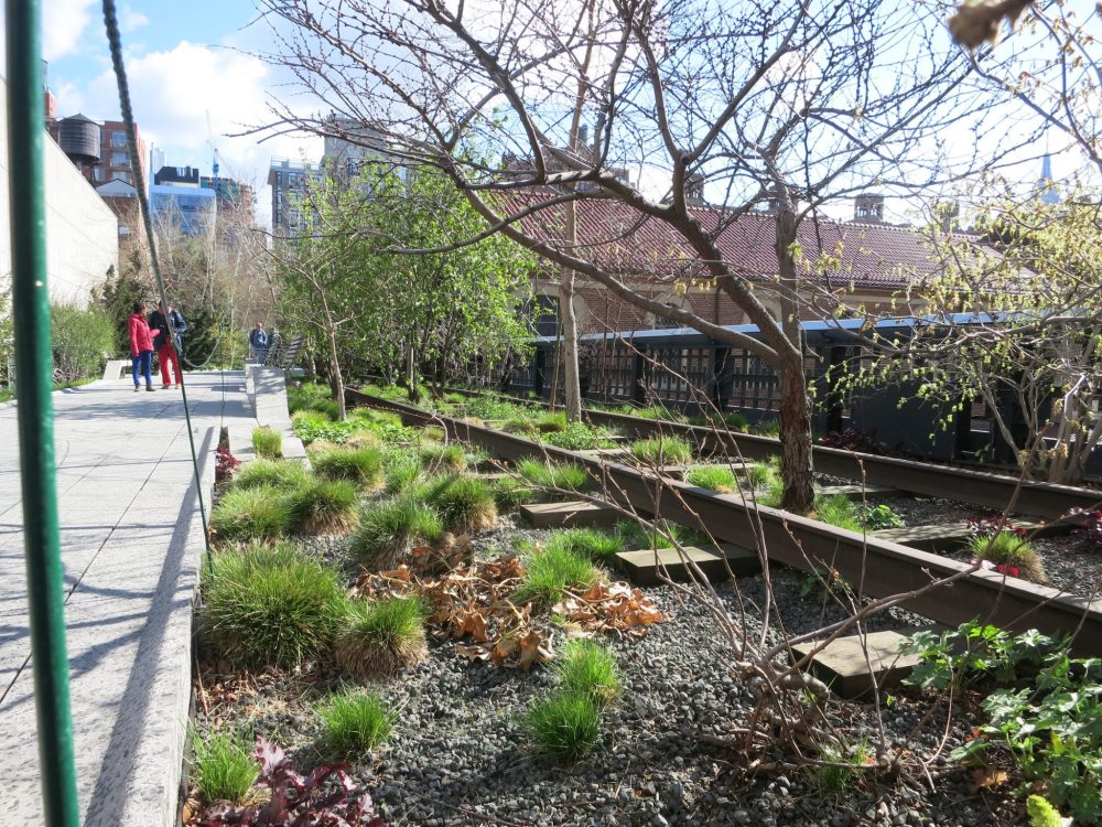 a view of a section of the High Line park