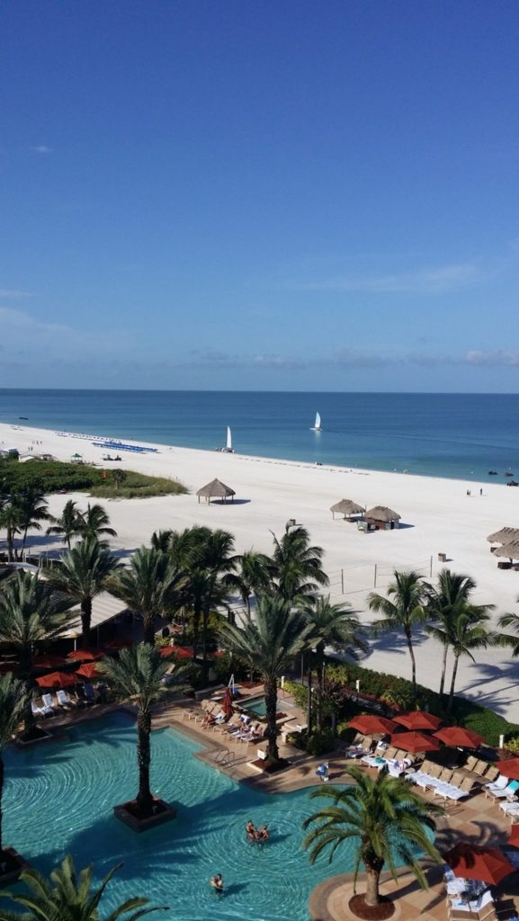 view overlooking the pool and beach with palm trees, etc. on Marco Island
