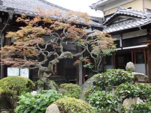 a manicured garden fronts one of many Yanaka temples