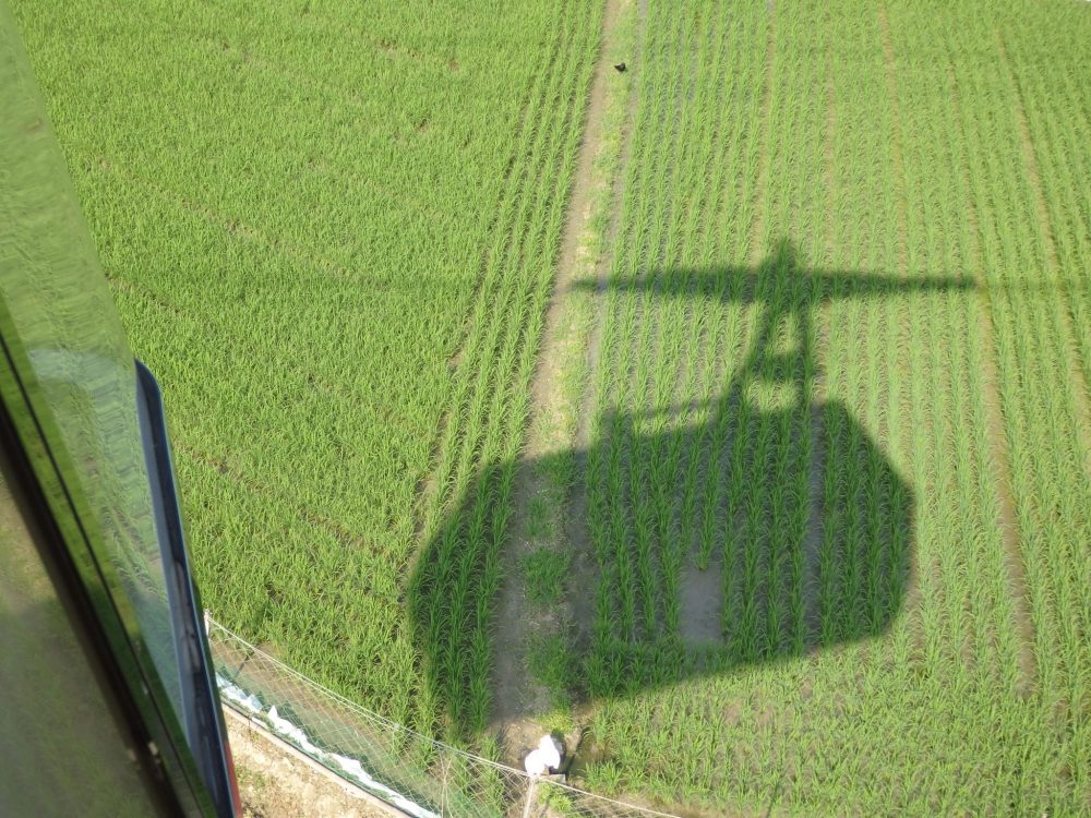 shadow of our cable car on rice paddies below in Himeji