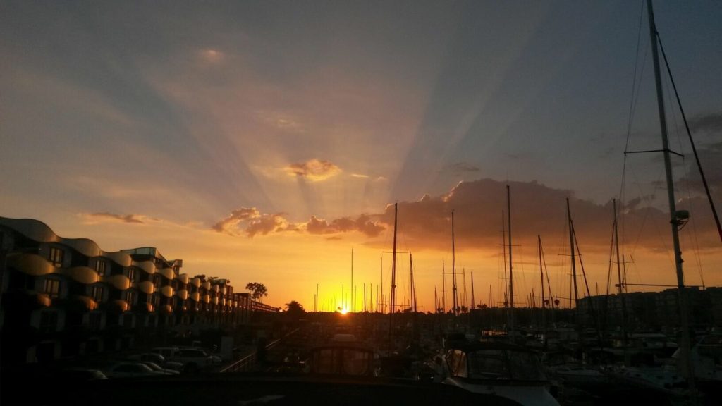 Sunset in Marina Del Rey with the silhouettes of lots of sailboat masts.