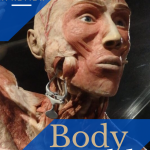 Text: Body World Amsterdam: A review. Image: the head of a plastinate man.