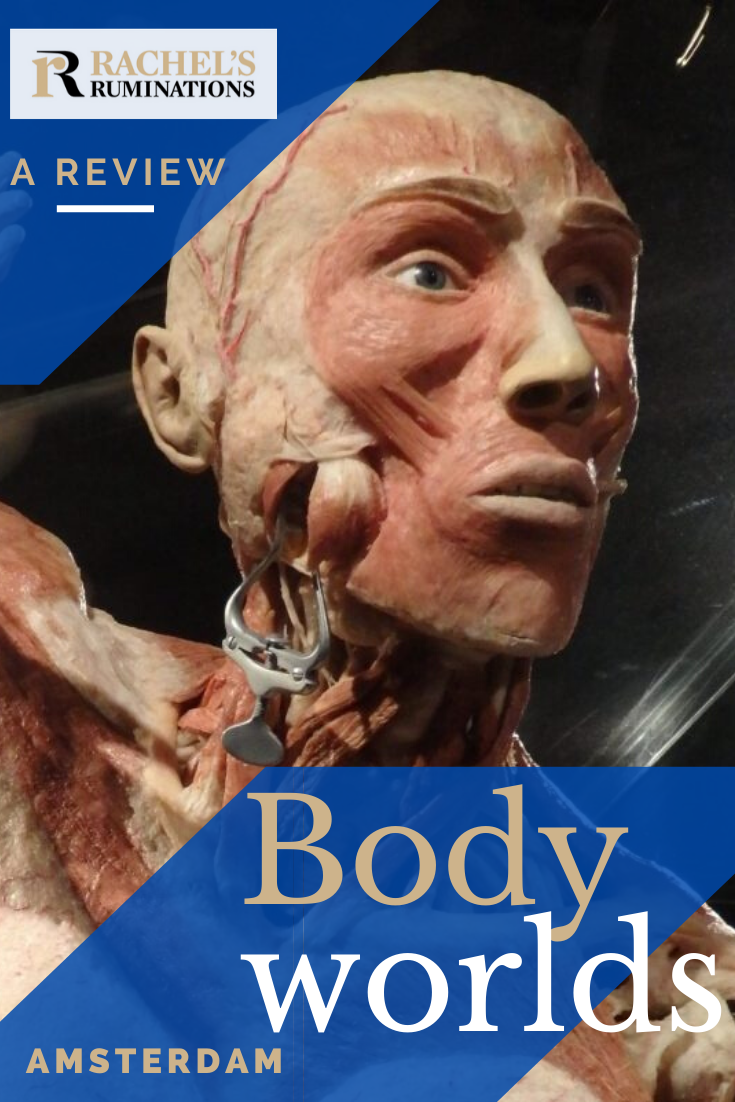 At Body Worlds Amsterdam we are viewing actual dead bodies, called plastinates. Is this entertainment? Education? Or just a freak show? A critical review.  via @rachelsruminations