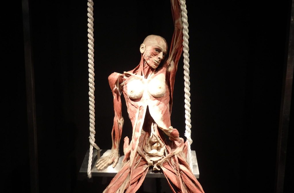 The woman sits on a wooden swing. Her breasts are exposed. She sits with her legs apart, showing the leg muscles and revealing her genitals. Her belly cut vertically open, the uterus and other organs visible. She has one arm down, on the seat. The other arm is straight up, holding the rope of the swing up above her head. Her head leans toward that arm. 