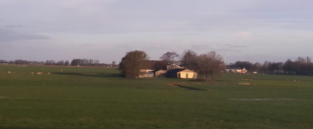 Farmland scene from the train window: a house with a barn, trees around it, surrounded by green fields. 