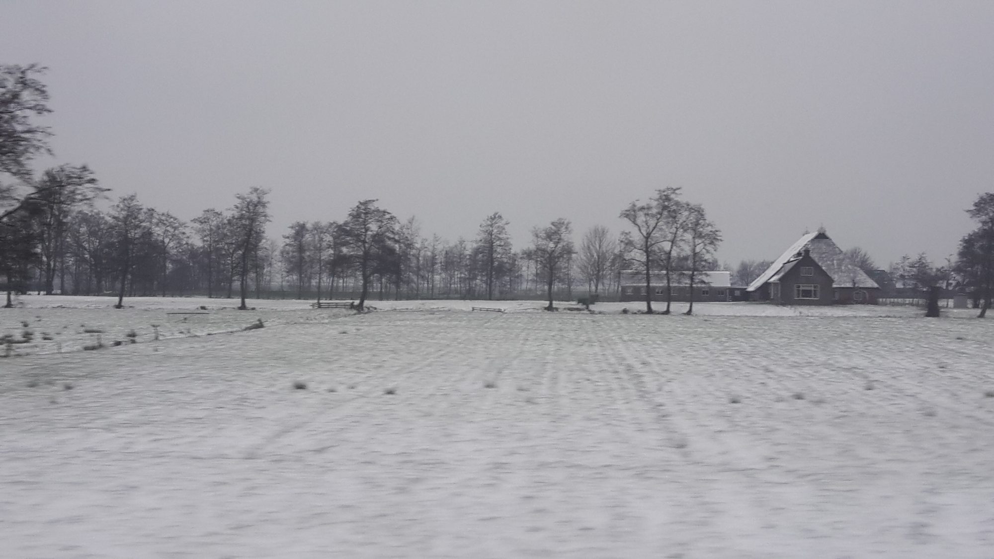 somewhere on my commute between Groningen and Leeuwarden after a dusting of snow