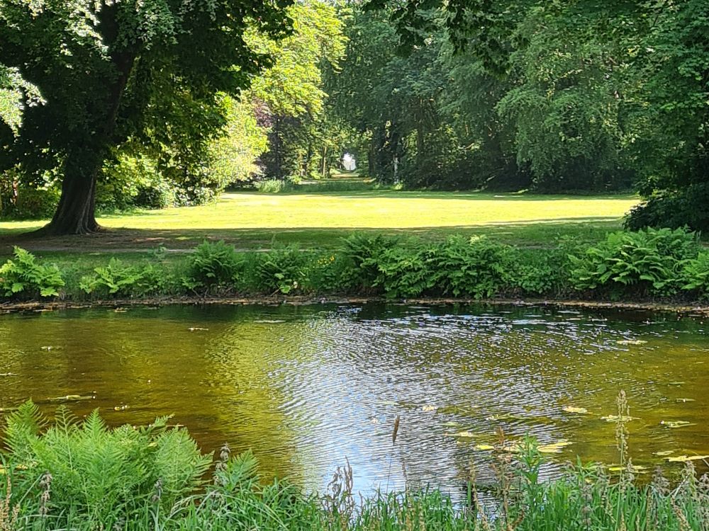 Foreground, water in the moat. Beyond that, a long corridor of short grass with lots of forest on either side and, far in the distance, a statue is barely visible.