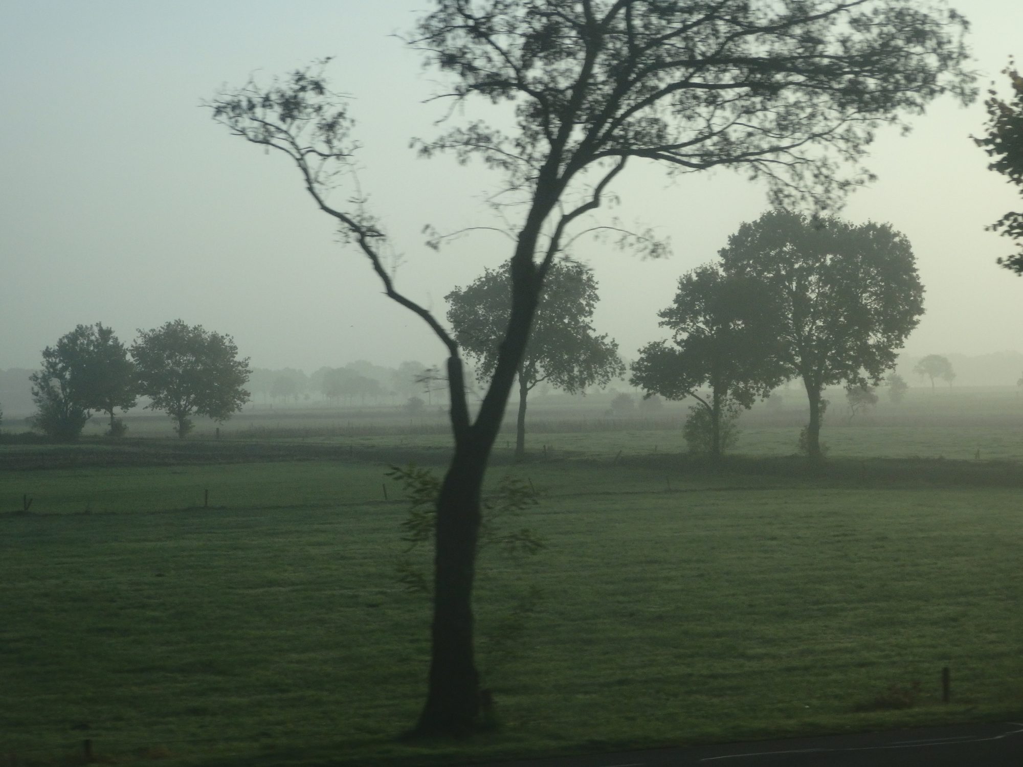 Sometimes in the mornings, a mist hangs over the fields. On my commute to Leeuwarden.