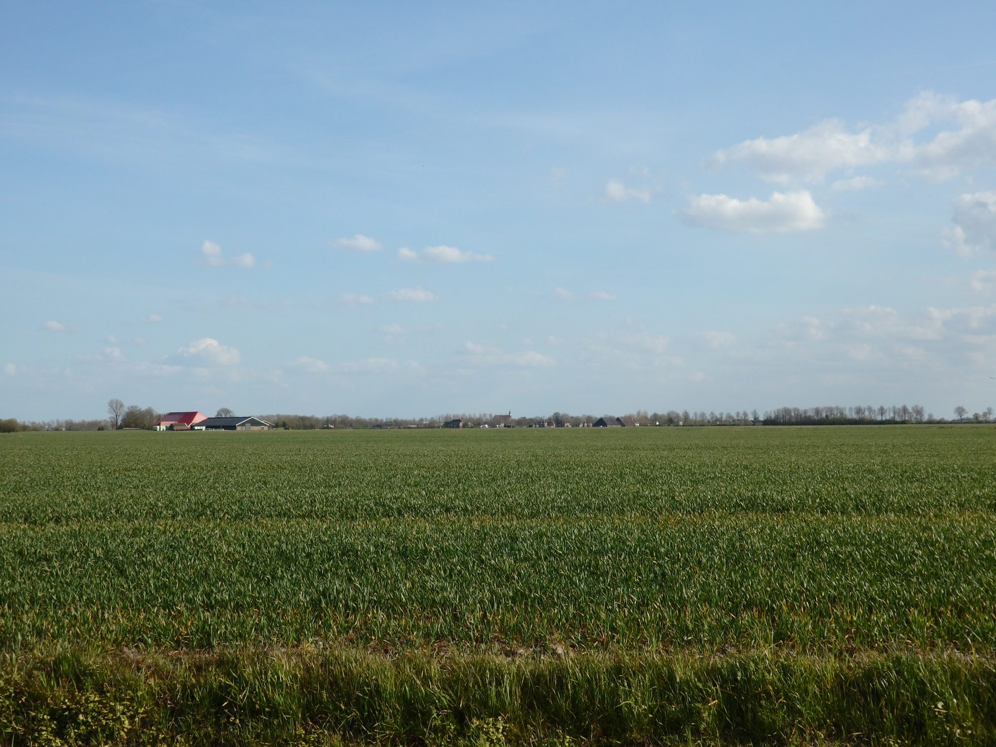 Big sky, flat land: typical Groningen province scenery