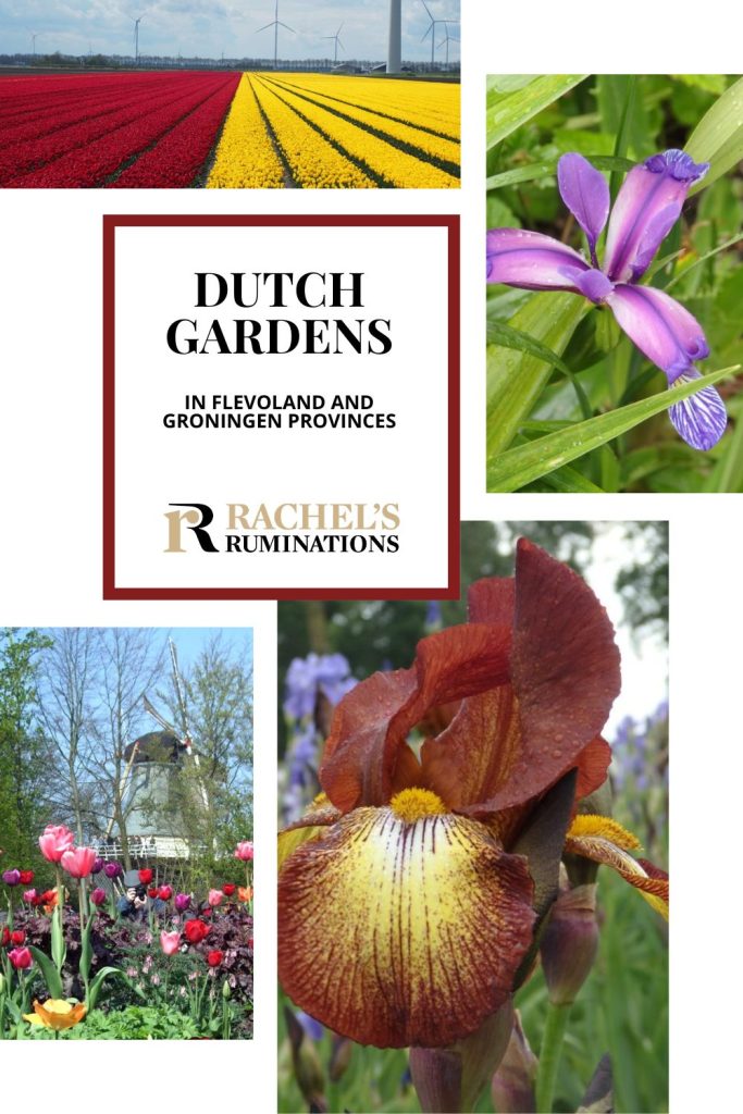 Text: Dutch gardens in Flevoland and Groningen provinces. Images: 4 different flower photos.
