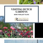 Text: Visiting Dutch gardens: More than just tulips! Images: 3 flower photos.