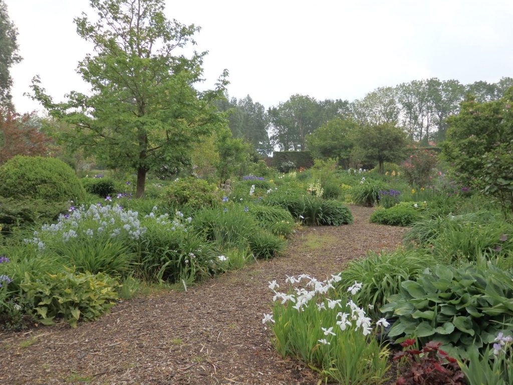 A pathway through a garden with flowers, shrubs and trees.