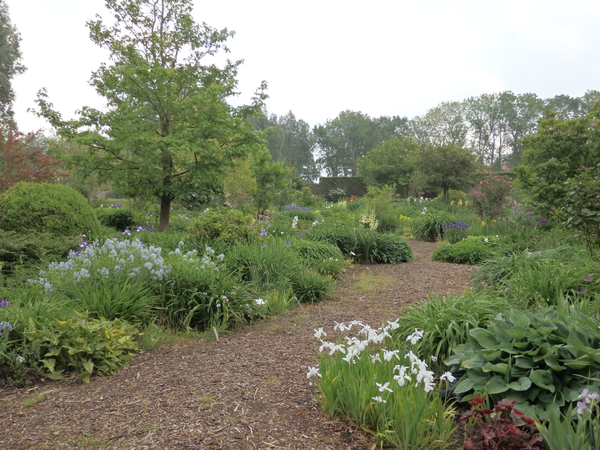 Kwekerij Joostens' display garden is set up in the style of English gardens.