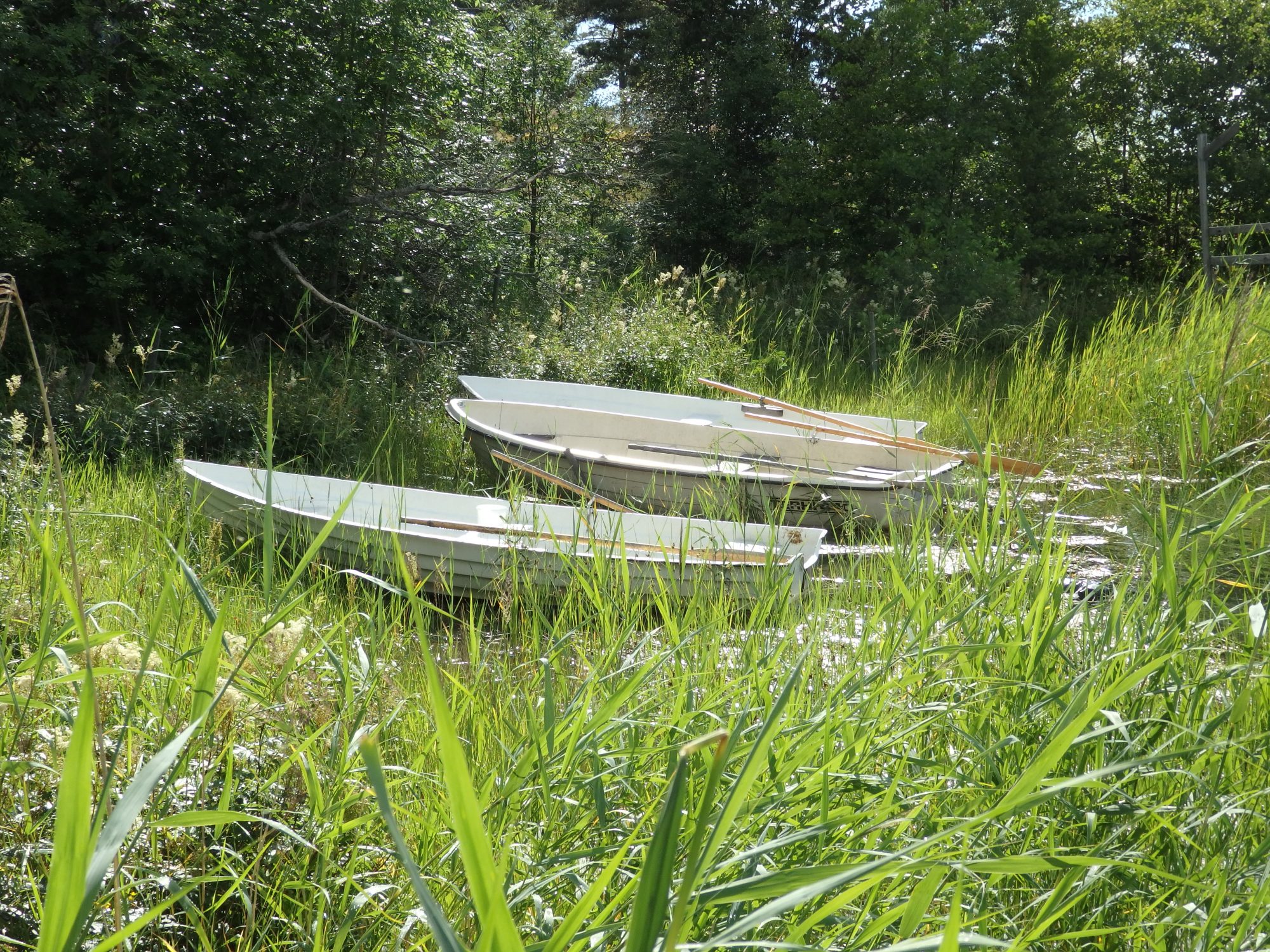 rowboats, Nasslingen Island, Sweden