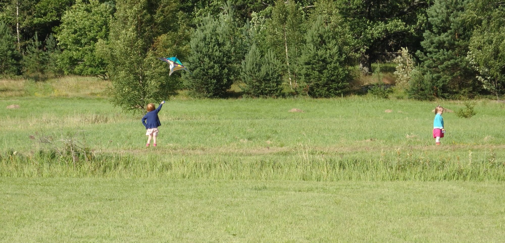 Some of the other visitors to Nasslingen Island while we were there.