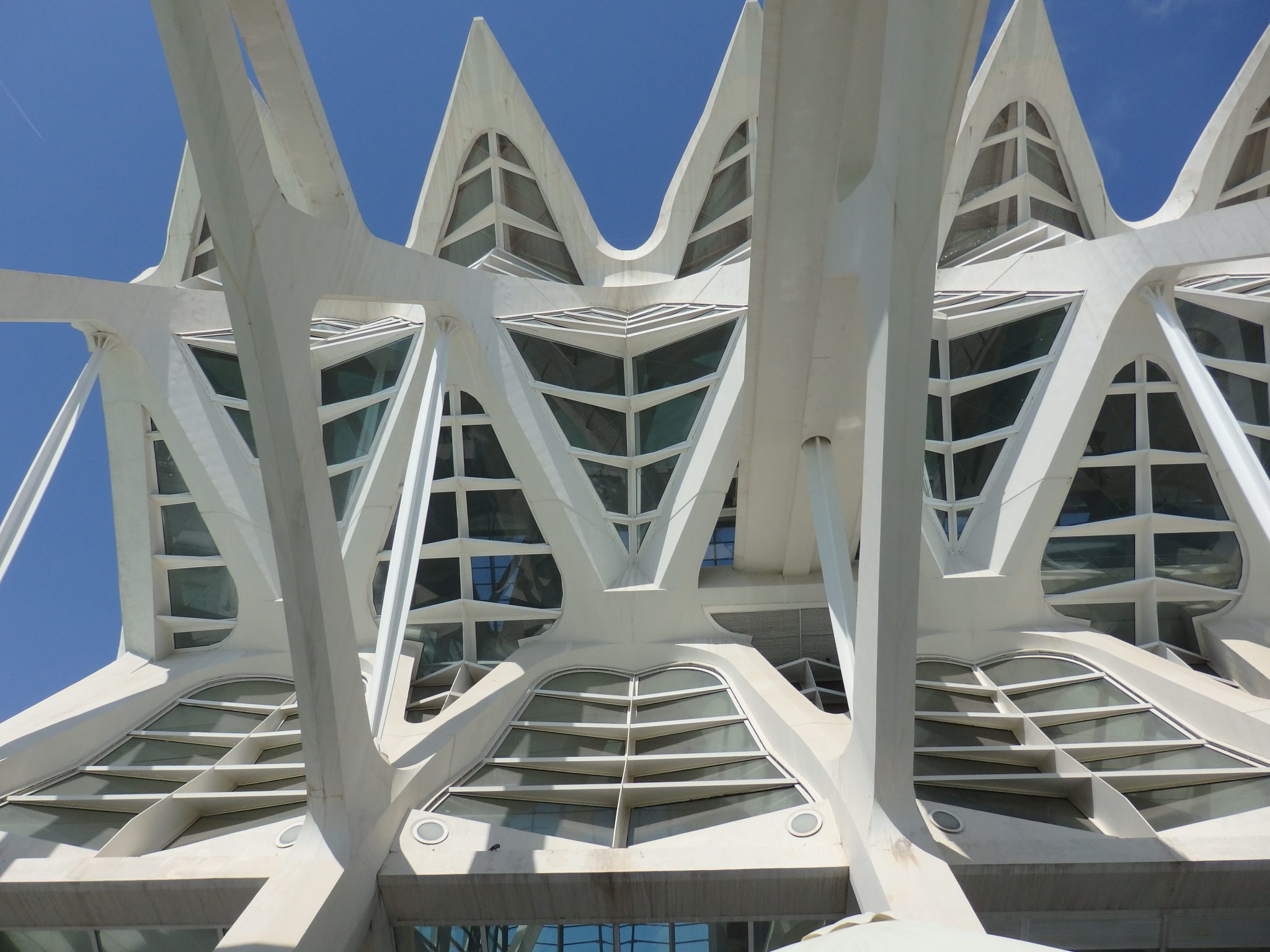 a piece of the exterior of the Museum of Science, looking straight up