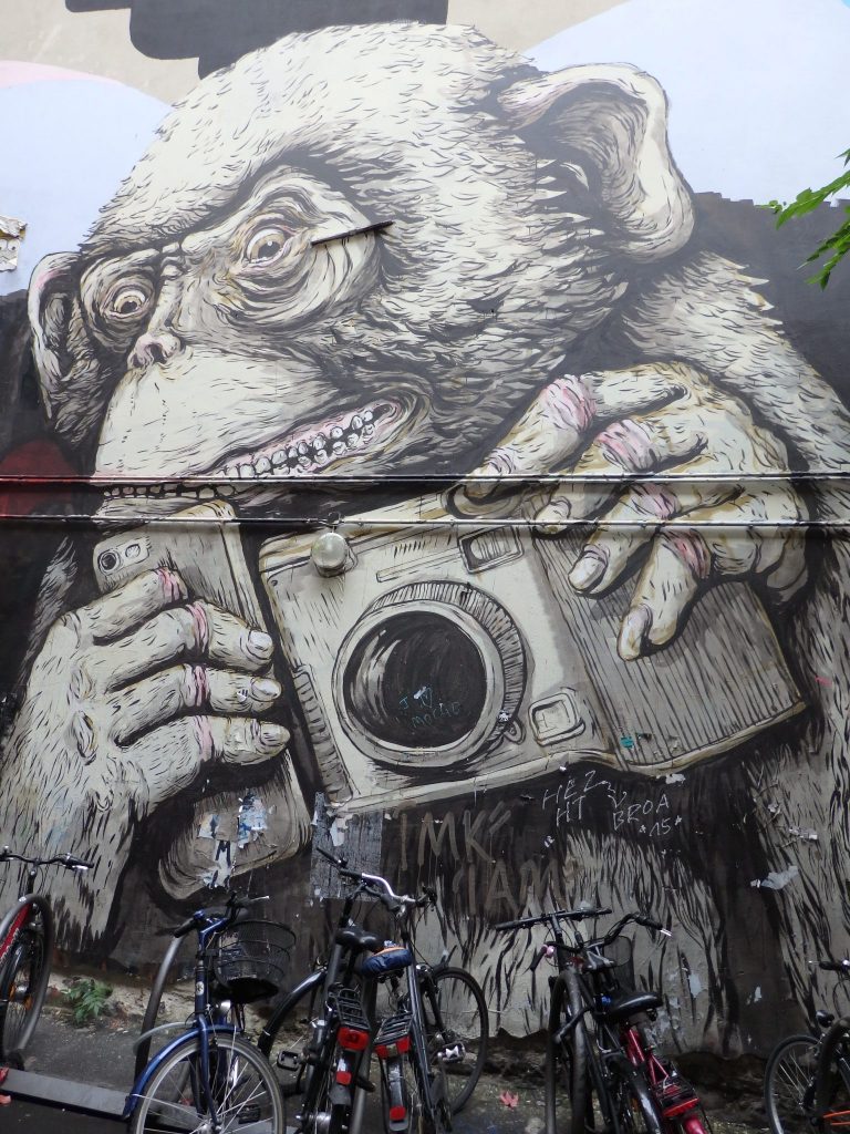 A black and white image, very detailed, of a monkey holding a camera.