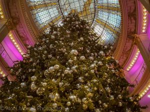 The huge tree at Neiman Marcus department store in San Francisco. Photo courtesy of Noel Morata