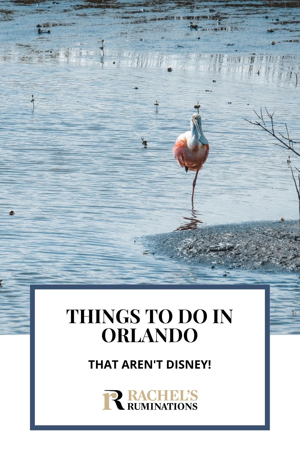 What’s the first word that pops into your head when you hear the word “Orlando”? Unless you’re an Orlando Bloom fan, chances are you thought of Disney World. Click here to read about 8 other things to do in Orlando besides Disney! via @rachelsruminations