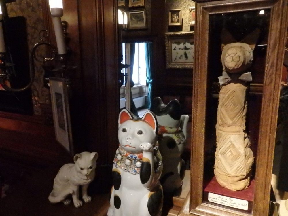 The mummified cat in the small case keeps company with some decidedly newer ceramic cats. Cat Cabinet, Amsterdam