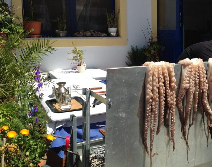 Fresh octopus, anyone? Photo courtesy of Rebecca Hall