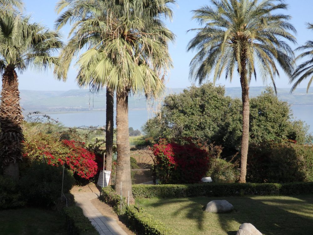 The garden on the Mount of Beatitudes, with the Sea of Galilee visible in the distance.