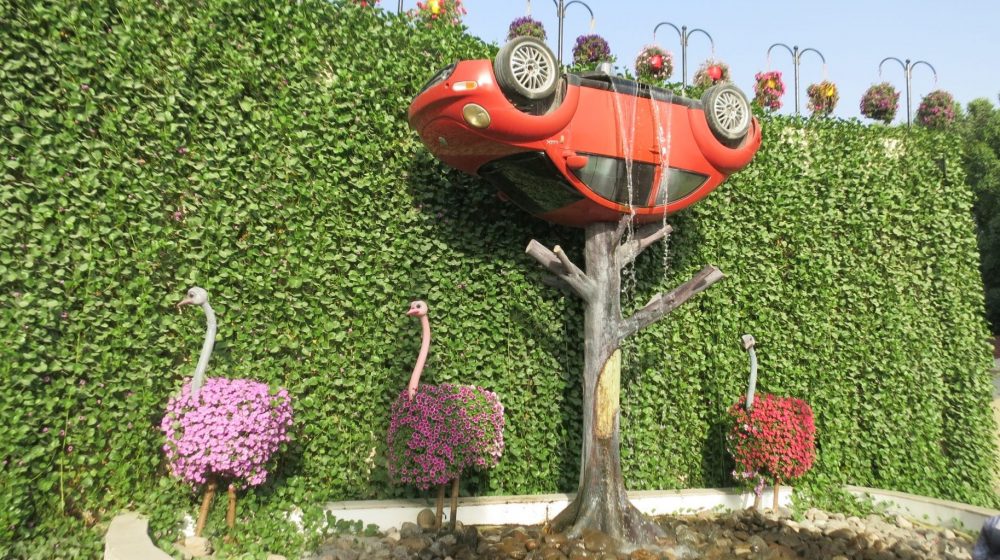 An upside-down VW beetle fountain, with three ostriches, at the Dubai Miracle Garden