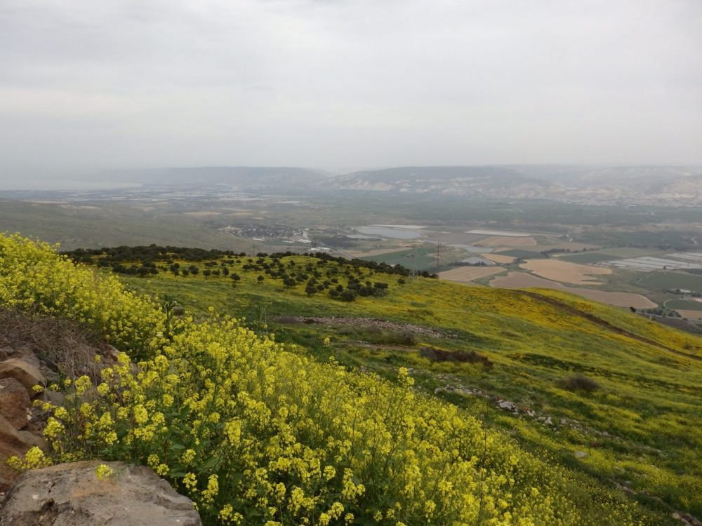 Even on the hazy day I visited, Belvoir Fortress offered a BIG view. On the left side of the photo you can dimly see the southern tip of the Sea of Galilee.