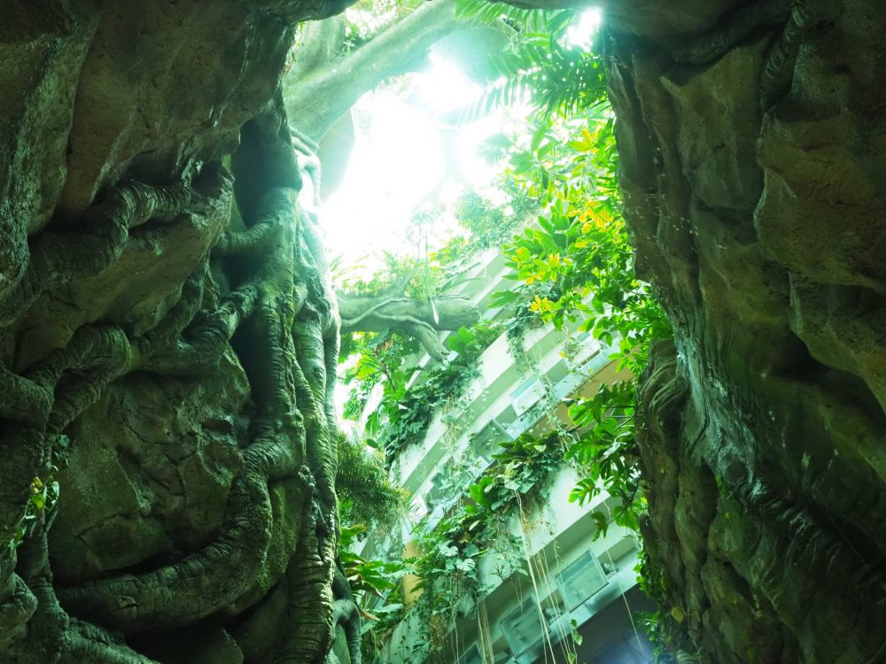 rocks and roots on either side  of the picture, in the middle is a vertical view of the middle of the building. Several stories are visible, all draped with greenery hanging off them. At the top of the picture the sun is shining through, so not much can be seen. 