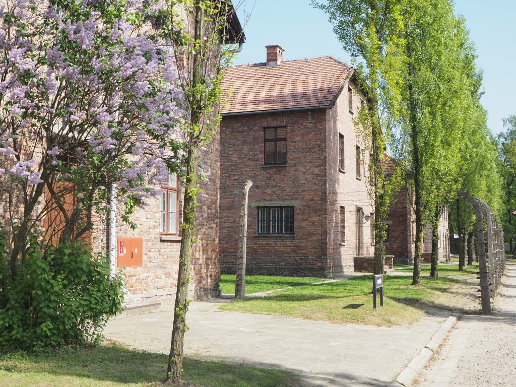 Neat brick buildings with green trees and a flowering bush.