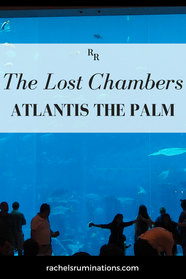 The Lost Chambers Aquarium really should be called the Atlantis Aquarium. At Atlantis The Palm Dubai Hotel, it's much more about atmosphere than education. #atlantisthepalm #atlantis #aquarium #dubai #uae #c2cgroup via @rachelsruminations