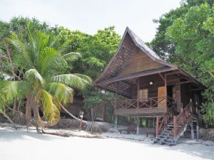 A wooden house on stilts on a beach surrounded by greenery.