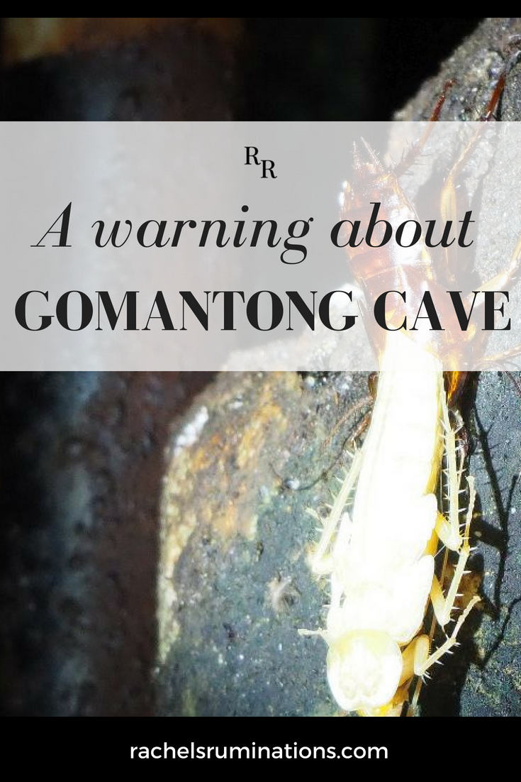 Bat guano (stinky!), cockroaches and other grossness await you at Gomantong Cave in Borneo, a stop on Malaysia's adventure tourism circuit. You've been warned! guano | gomantong | borneo | sabah | malaysia | cave | cockroaches via @rachelsruminations