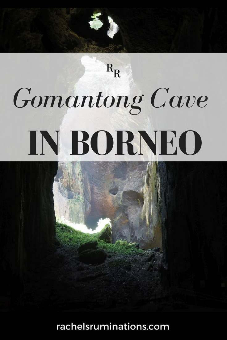 Bat guano (stinky!), cockroaches and other grossness await you at Gomantong Cave in Borneo, a stop on Malaysia's adventure tourism circuit. You've been warned! guano | gomantong | borneo | sabah | malaysia | cave | cockroaches via @rachelsruminations