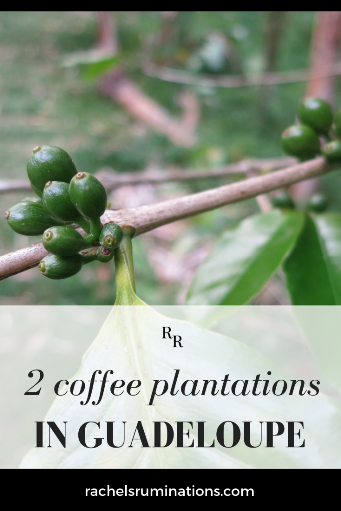 Two coffee plantations to visit in Guadeloupe lend insight into how coffee is and was produced, going back to the colonial period and the use of slave labor. #guadeloupe #coffeegrowers 