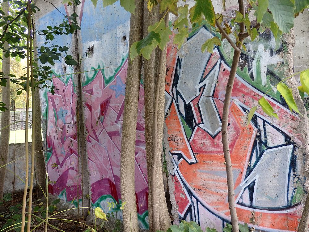 These segments of the Berlin Wall are surrounding by saplings and painted with graffiti