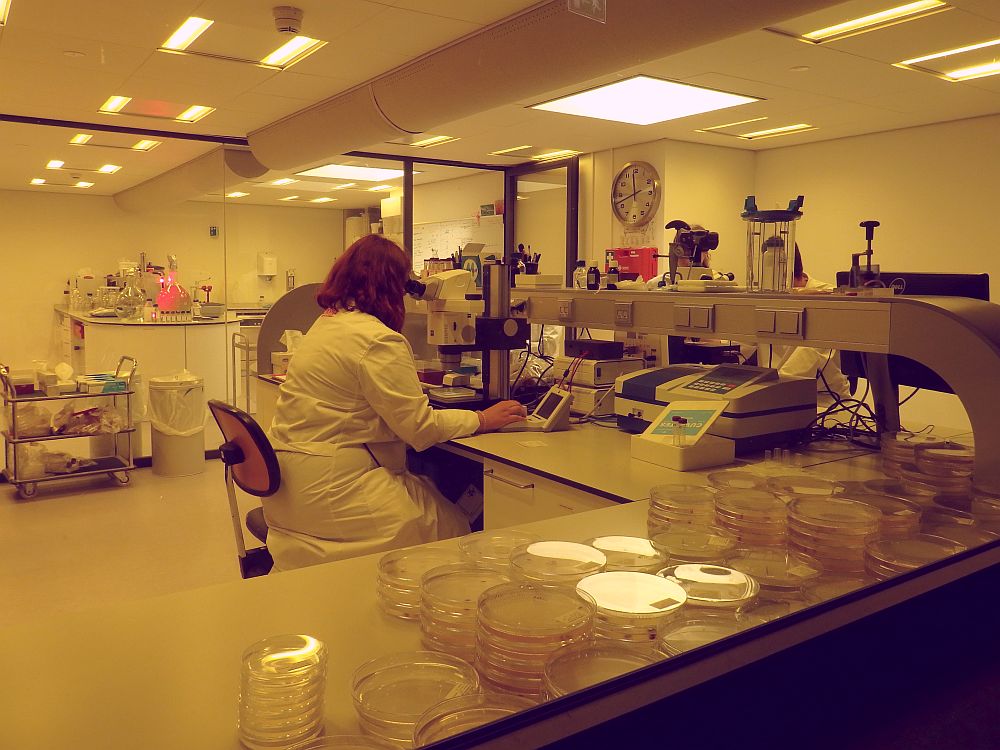 A woman in a white coat sits peering into an instrument in Micropia's lab.
