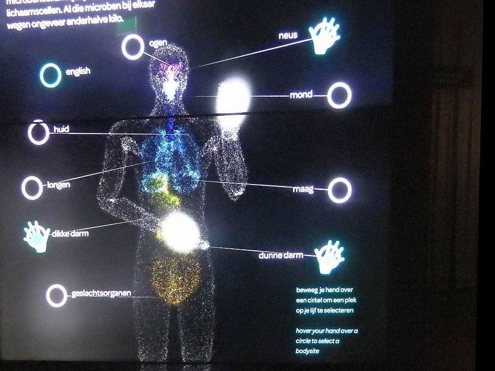 This "body scan" allows you to make choices by moving your hands. It looks like a colorful x-ray but with the body parts labeled.