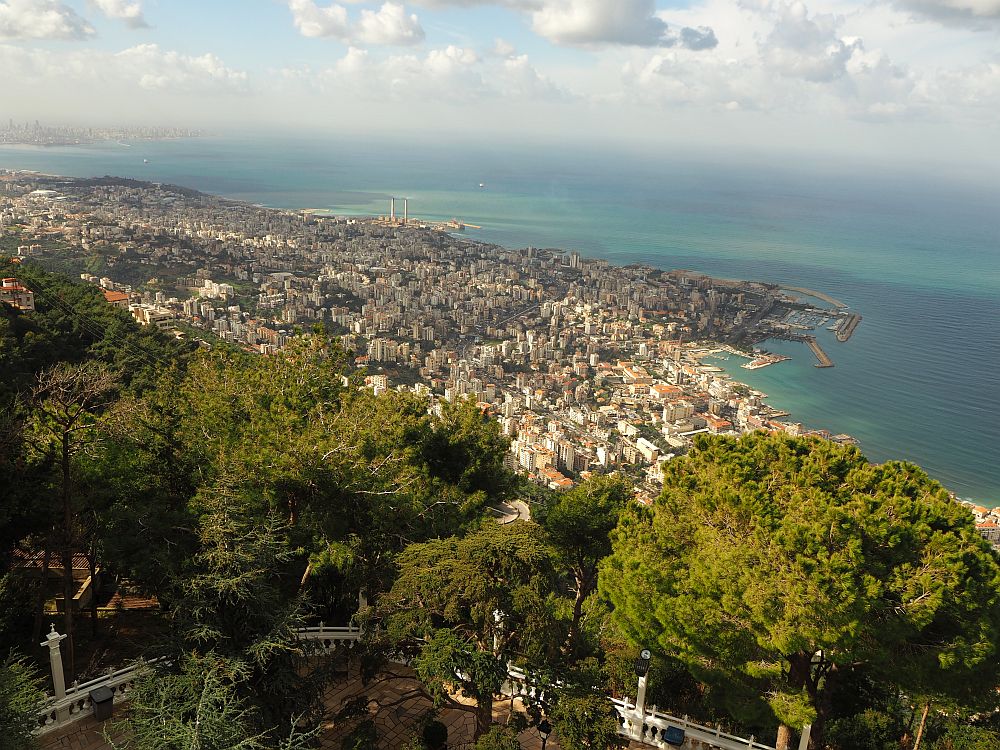 treetops in the foreground, the city spreads along the coast into the distance.